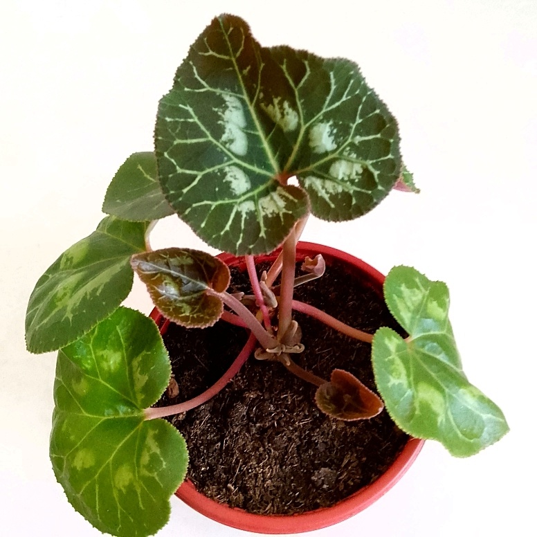 Два месяца назад