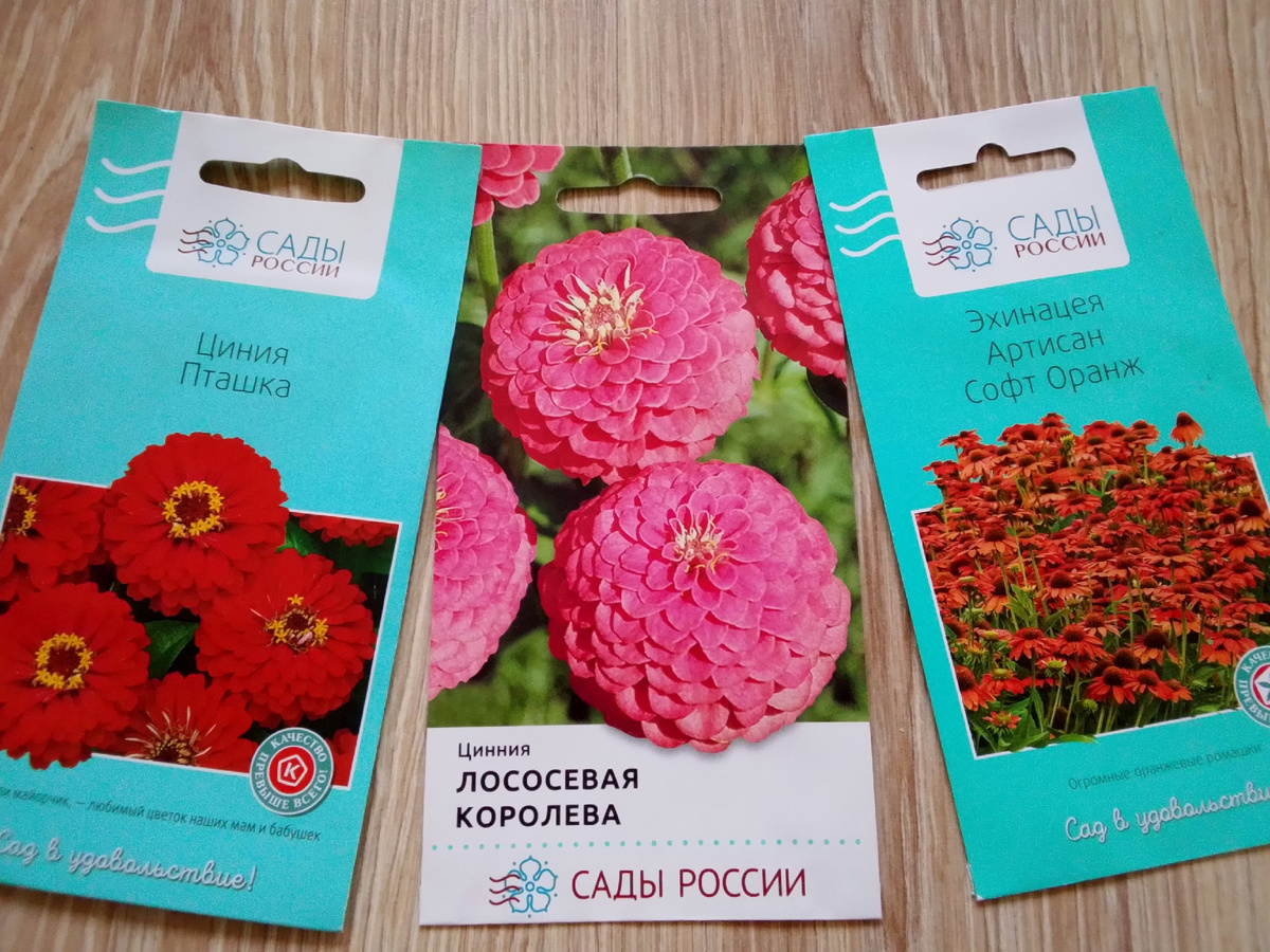 Семена цветов, фото автора от 12 декабря 2025 года