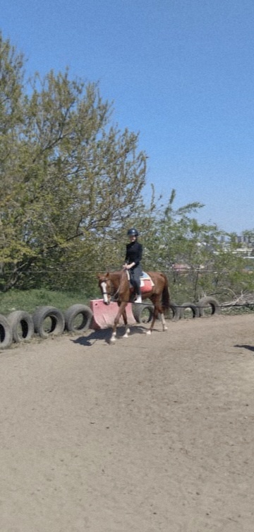 © Анастасия Шляховая