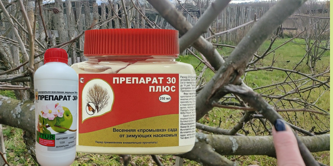 Именно сейчас главное время борьбы с вредителями. Минеральные масла в саду — как, когда и зачем их применять