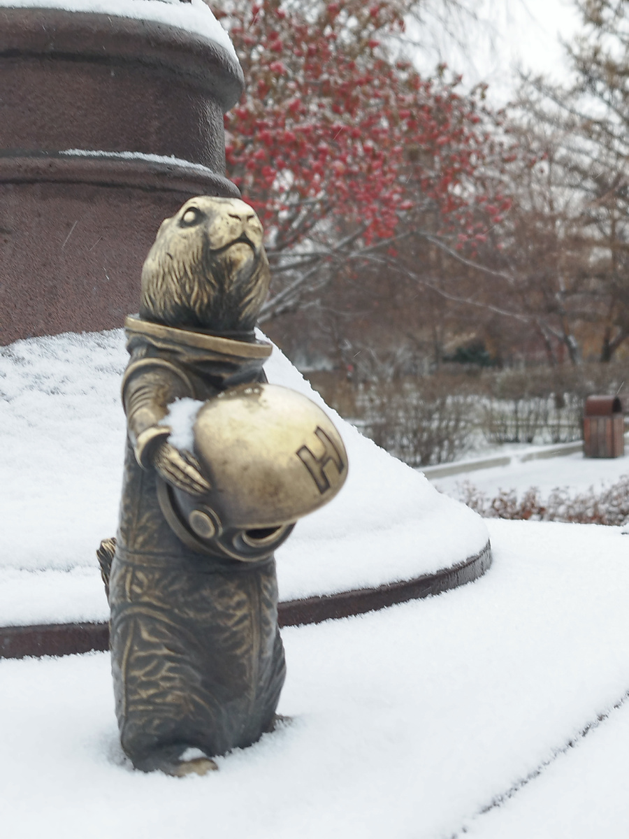 Суслик Назар сегодня в сквере Космонавтов. Фото из личного архива автора