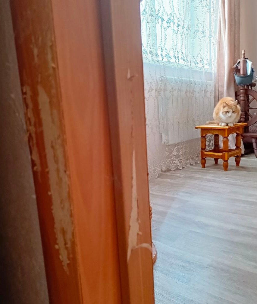 Дверь была новая, н-да...