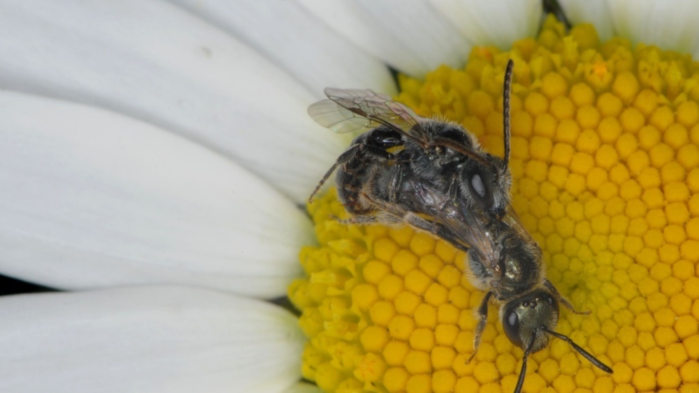     Фото: valda butterworth/Shutterstock/FOTODOM