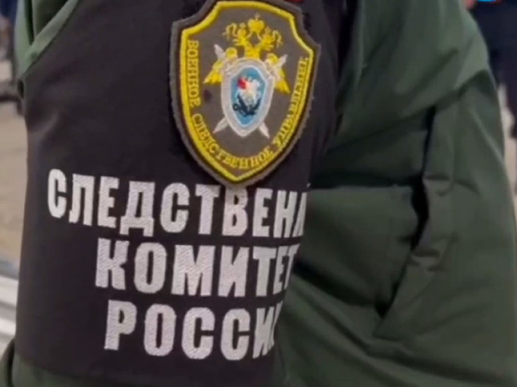     Фото: Дмитрий Шамолин