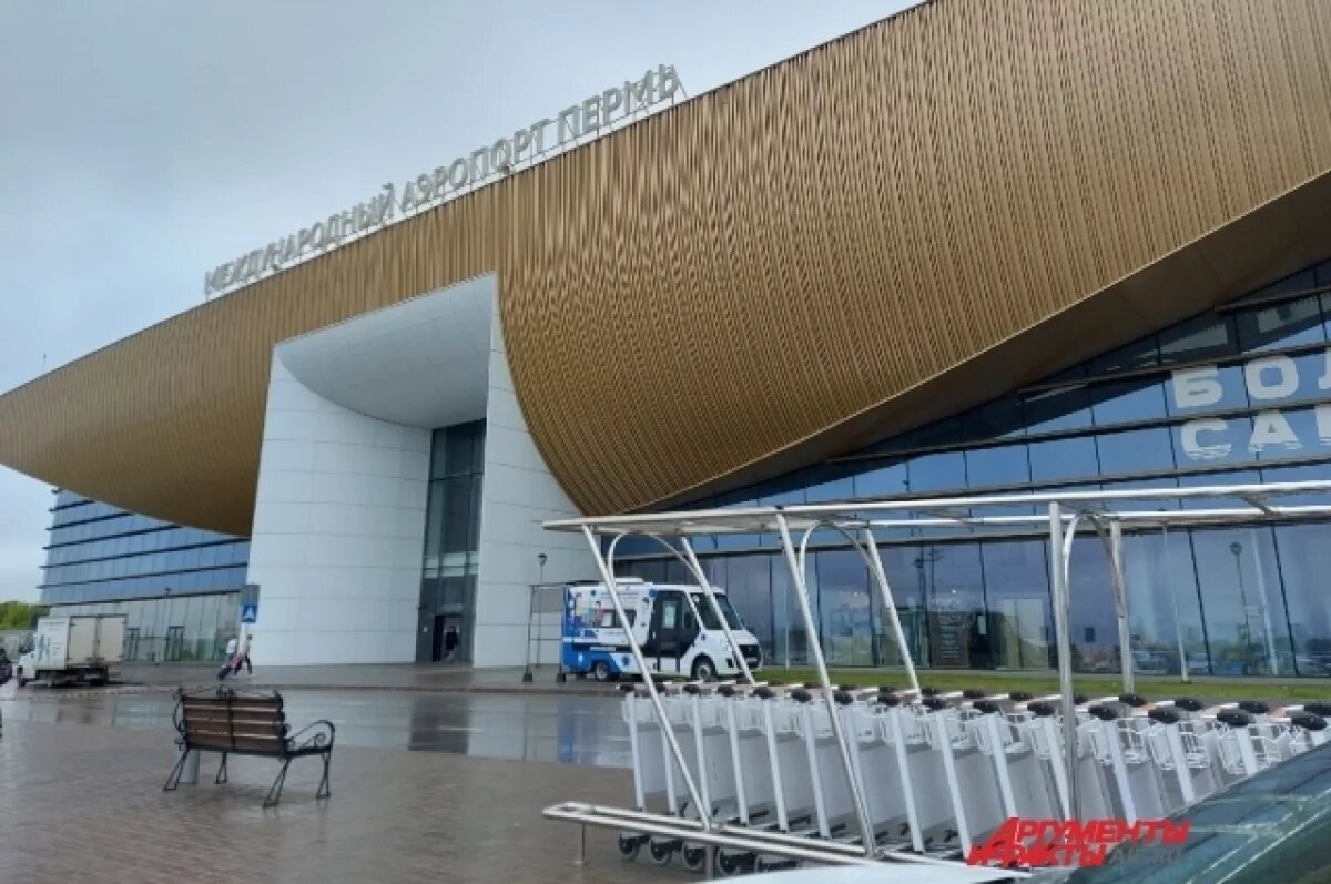    В пермском аэропорту задерживаются рейсы из-за столкновения борта с птицей