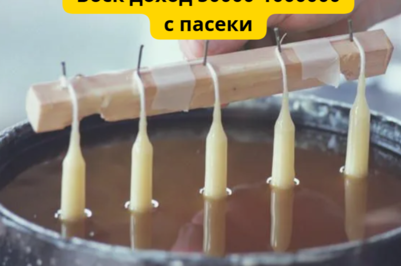 Как получать много воска и зарабатывать на продаже изделий из него. Пчеловодство как бизнес