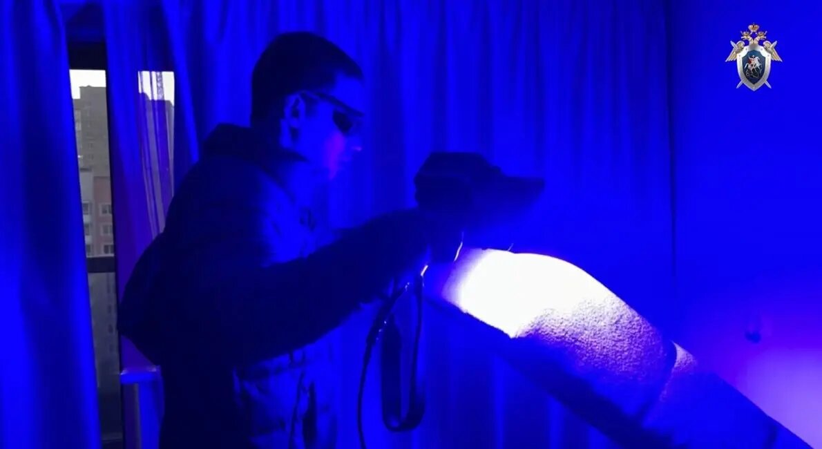    Фото: кадр видео СК РФ