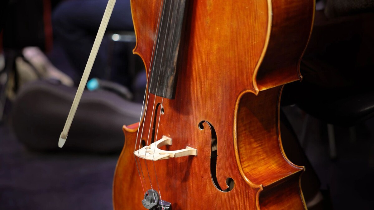    Фото: Андрей Ткачёв/«Ямал-Медиа»