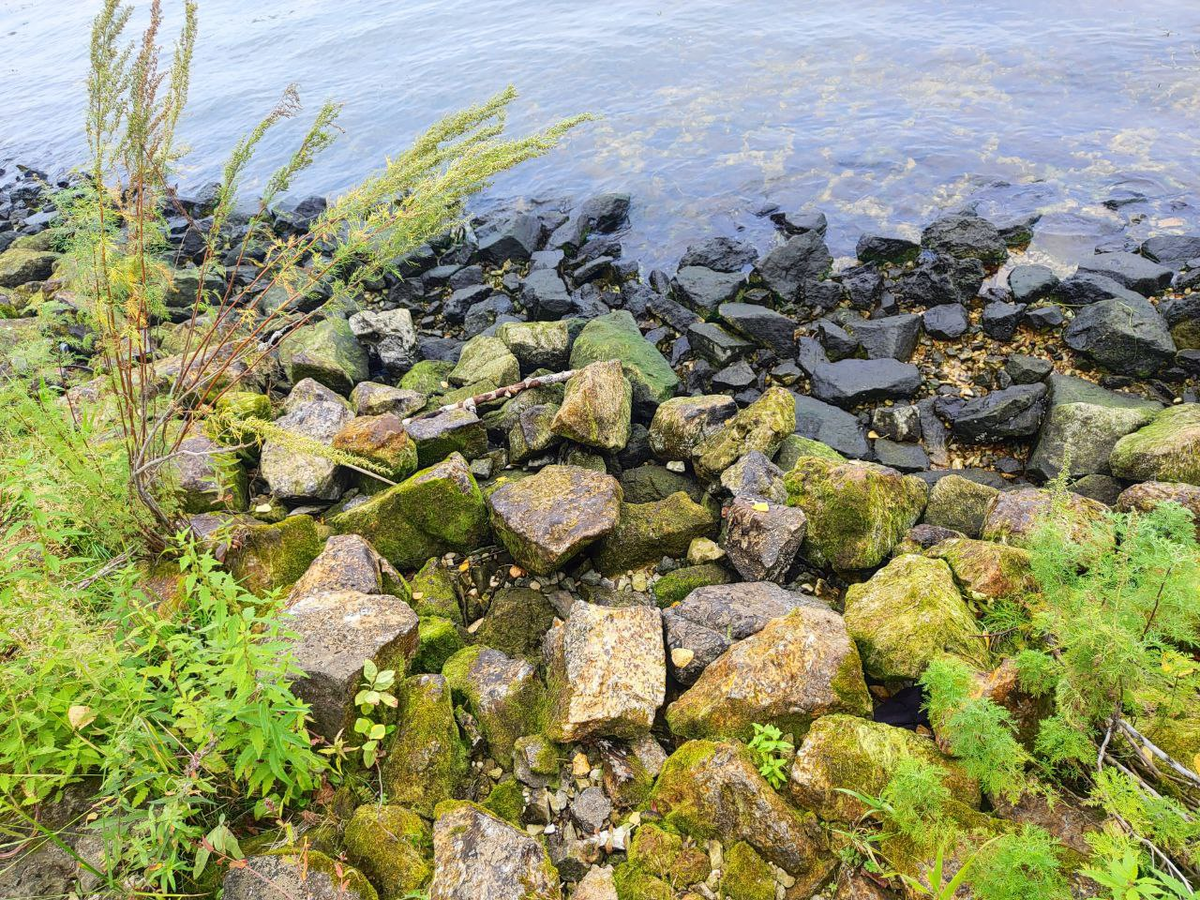 Фото автора.