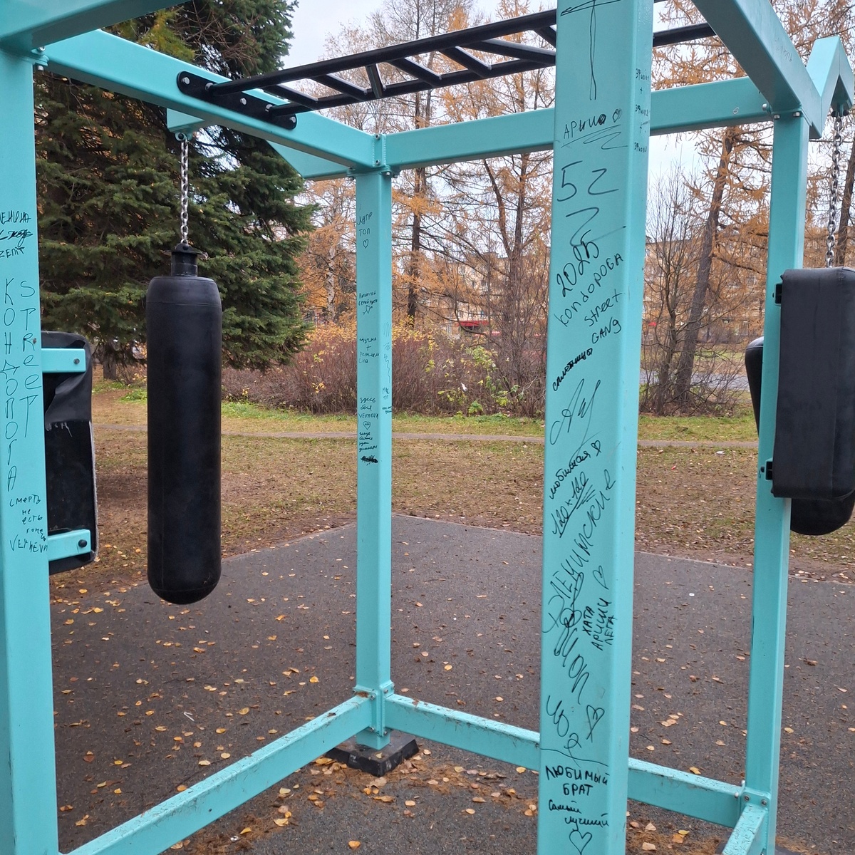 Листайте вправо, чтобы увидеть больше изображений