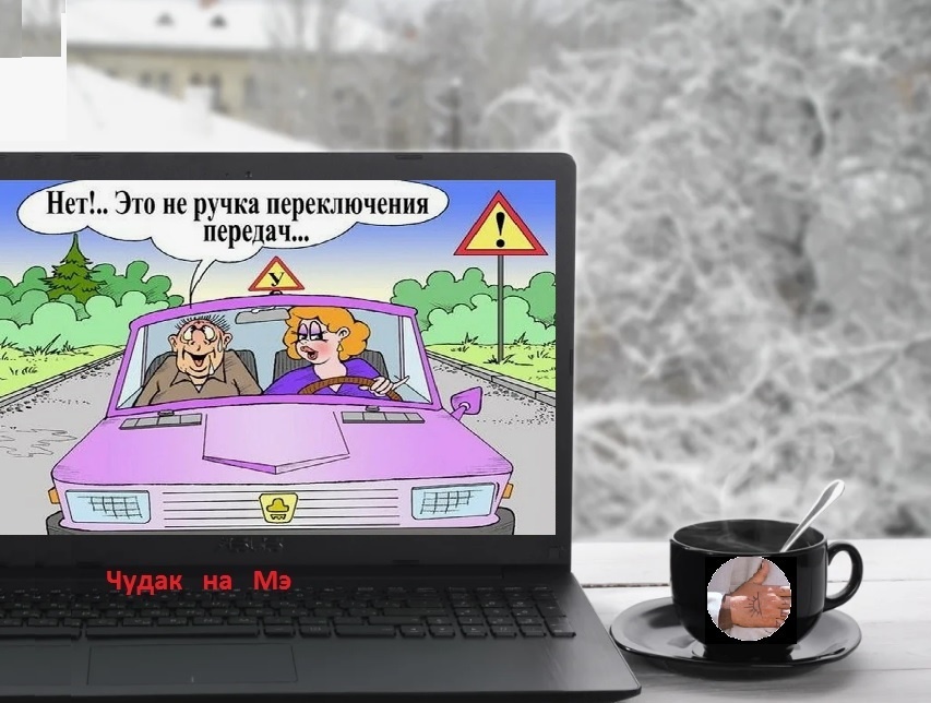 "Правда жизни! Акела не может даже поработать инструктором, чтобы тонус поднять!" Фотомонтаж автора