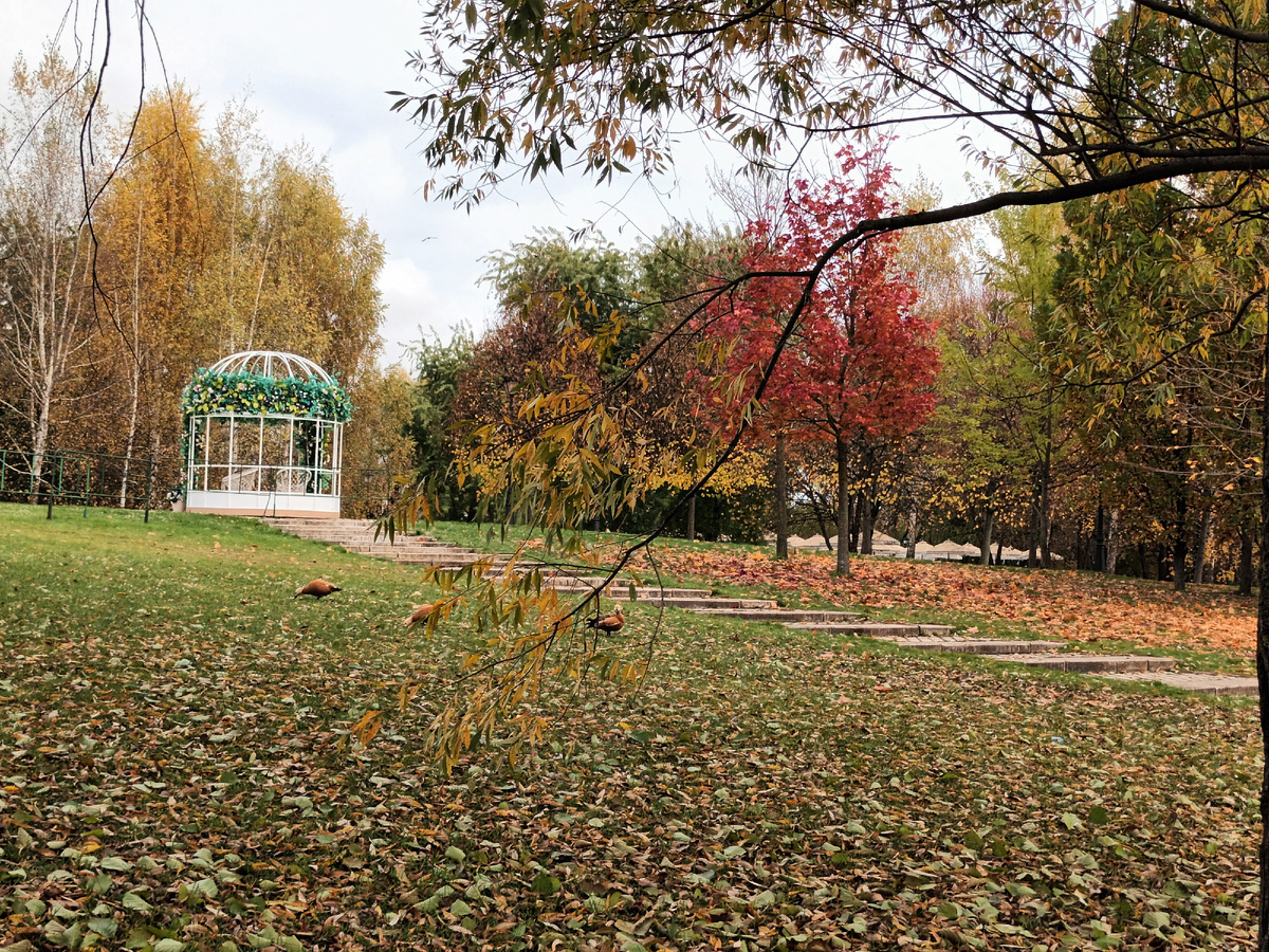 Прогулка в парке Царицыно