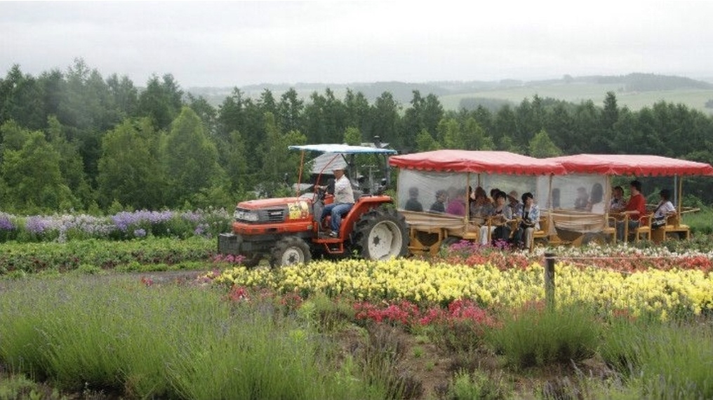 Сикисай-но-Ока возник как дополнительный продукт агробизнеса With You Ltd., воплотив идею гармоничного диалога человека с природой