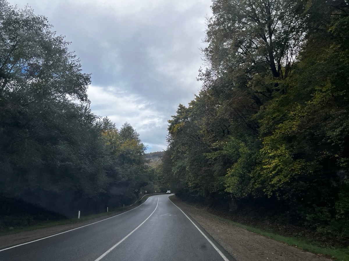 Дорога в Даховское, среди леса