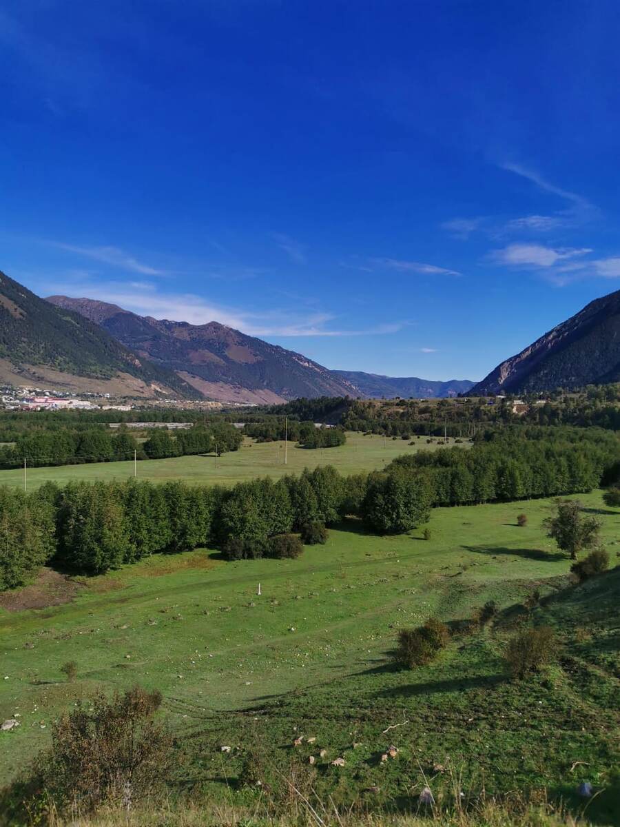 Виды с нашего участка