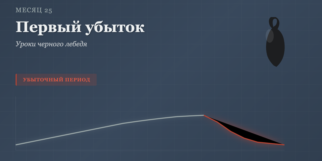 Отчет за 25-й месяц: Первый убыточный месяц и уроки черного лебедя