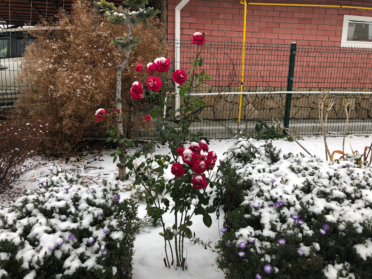 Фото автора