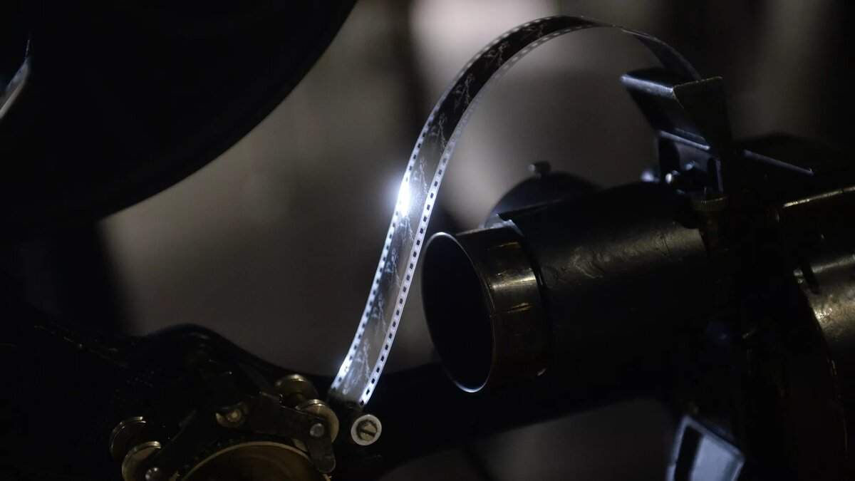 © Sputnik / Кирилл Каллиников / Перейти в фотобанк