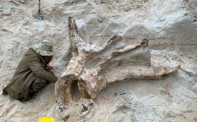 Источник https://lentv24.ru/media/photos/201613.jpg