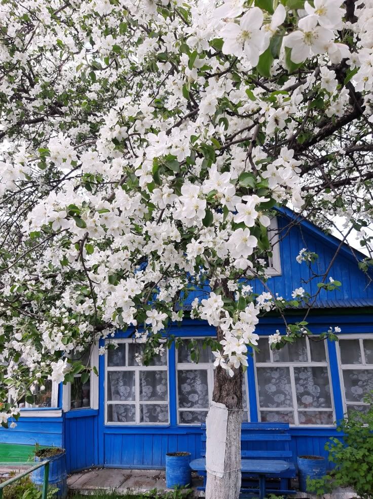 Источник: Pinterest Ru