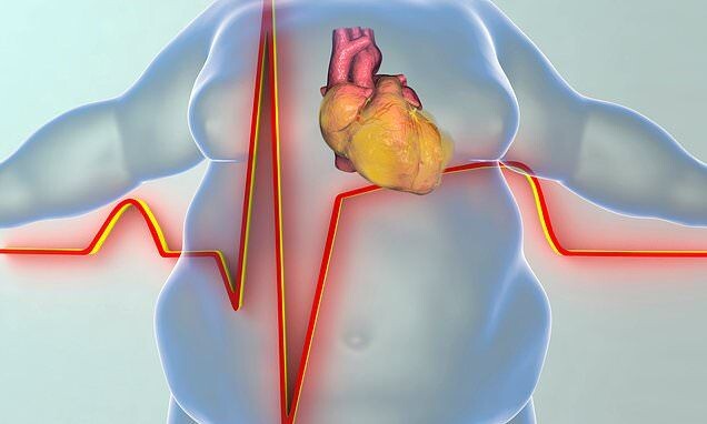 Открытые источники из интернета