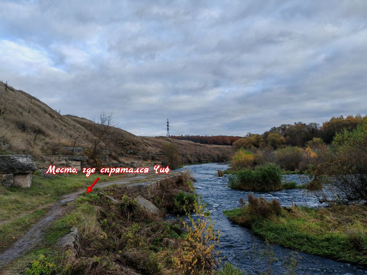 Место проведения спецоперации «Спасение у реки». Кандидат был обнаружен здесь, демонстрируя выдающиеся навыки маскировки