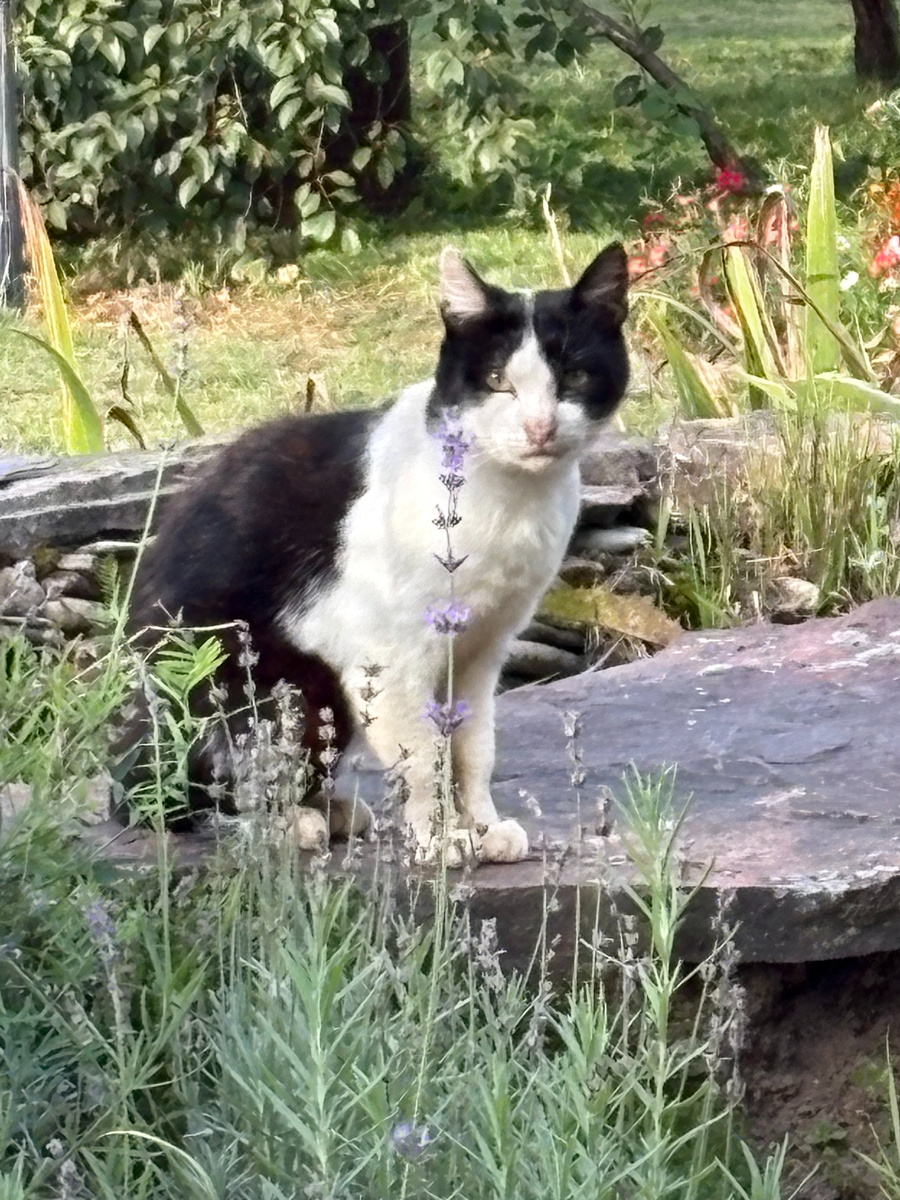 Маззи, он же Подтяжкин! Везде фото автора.