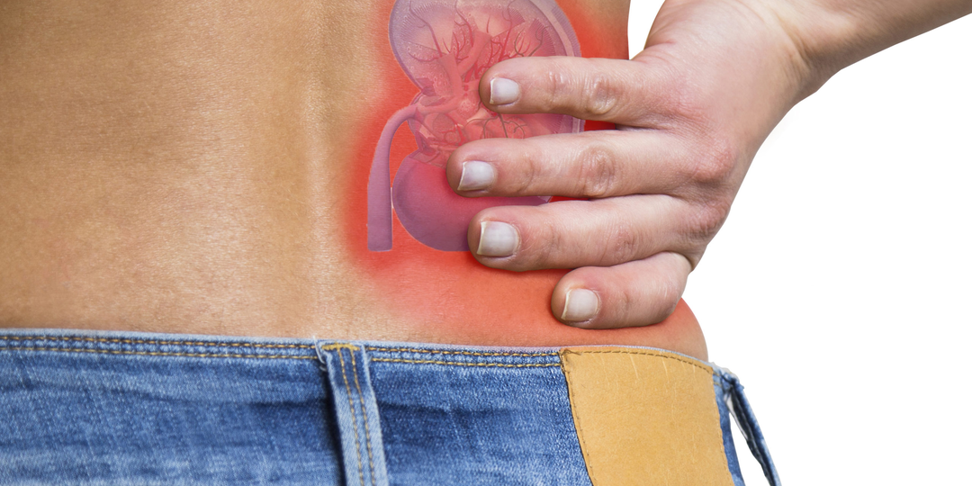 Как понять, что болят почки: 9 ключевых симптомов, при которых нужна помощь врача