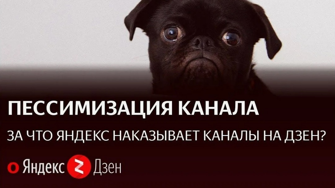 Фото не моё, взято из свободного источника