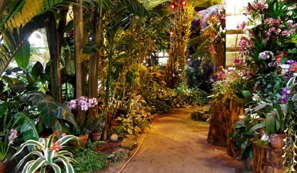 Источник: https://icmos.ru/news/34579-v-den-vsekh-vlyublyennykh-botanicheskiy-sad-mgu-aptekarskiy-ogorod-priglashaet-na-ekskursiyu-znakoms