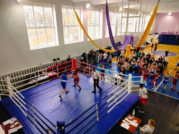     В Чудовской спортивной школе прошли соревнования по боксу. фото: пресс-служба администрации Чудовского муниципального округа