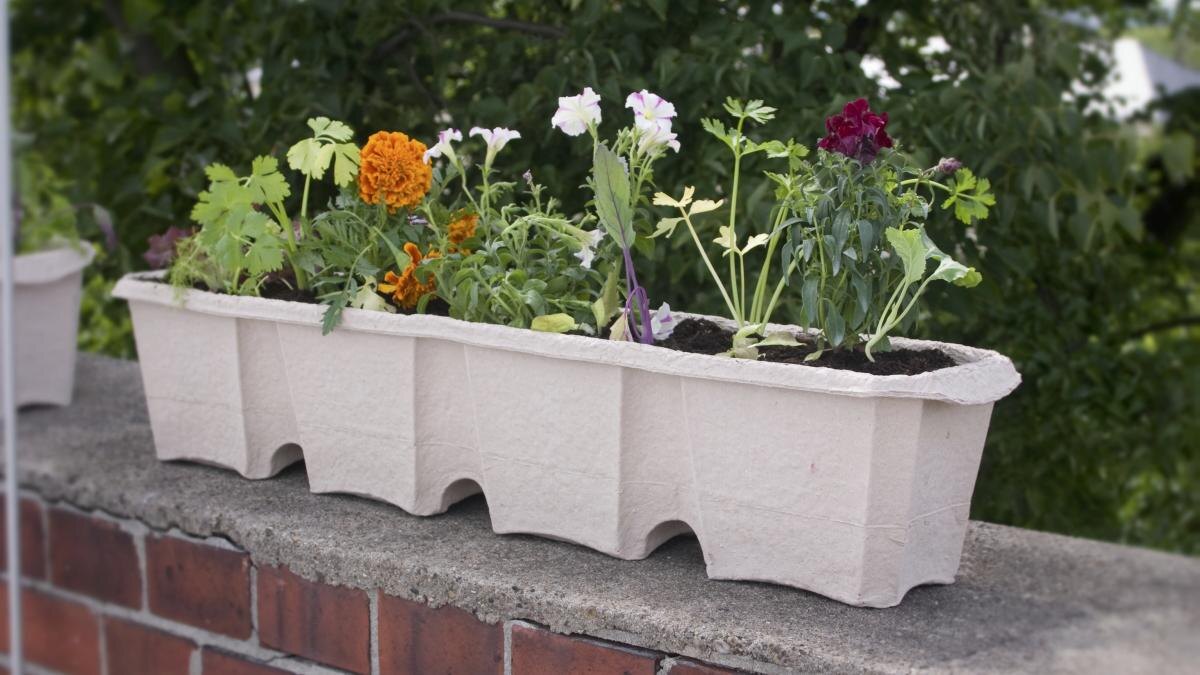 Источник: https://www.moneytimes.ru/news/container-gardening-tips-and-secrets/109700/