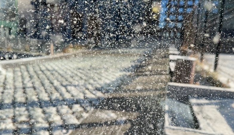    Фото: В курсе.ру Ульяна Бажанова