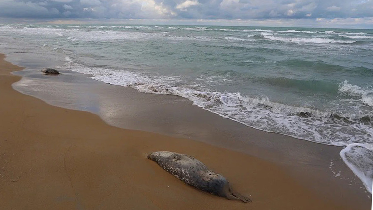   Пресс-служба департамента экологии Мангистауской области