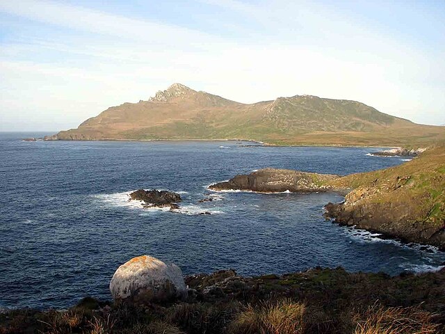 Фото с сайта Wikimedia Commons