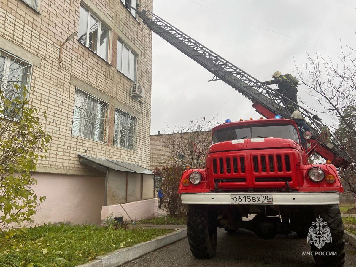     Фото: МЧС по Свердловской области