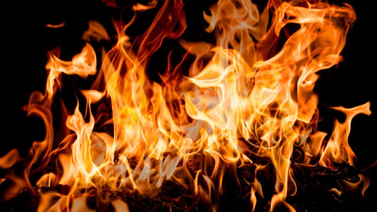    Фото: Korneliia Lutso / Shutterstock / Fotodom