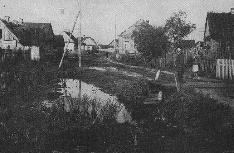 Дрогичинский повет. Межвоенный период. Источник: https://d-museum.by/news/marth2019/drog-6.jpg