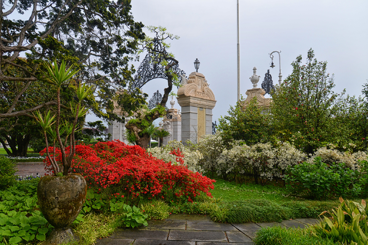 Стреза. Пьемонт. Италия. Сад Grand Hotel des Iles Borromées . Фотография А.Новикова. 2015