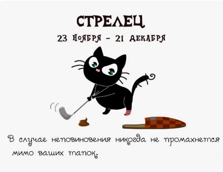 Инет. Свободный доступ