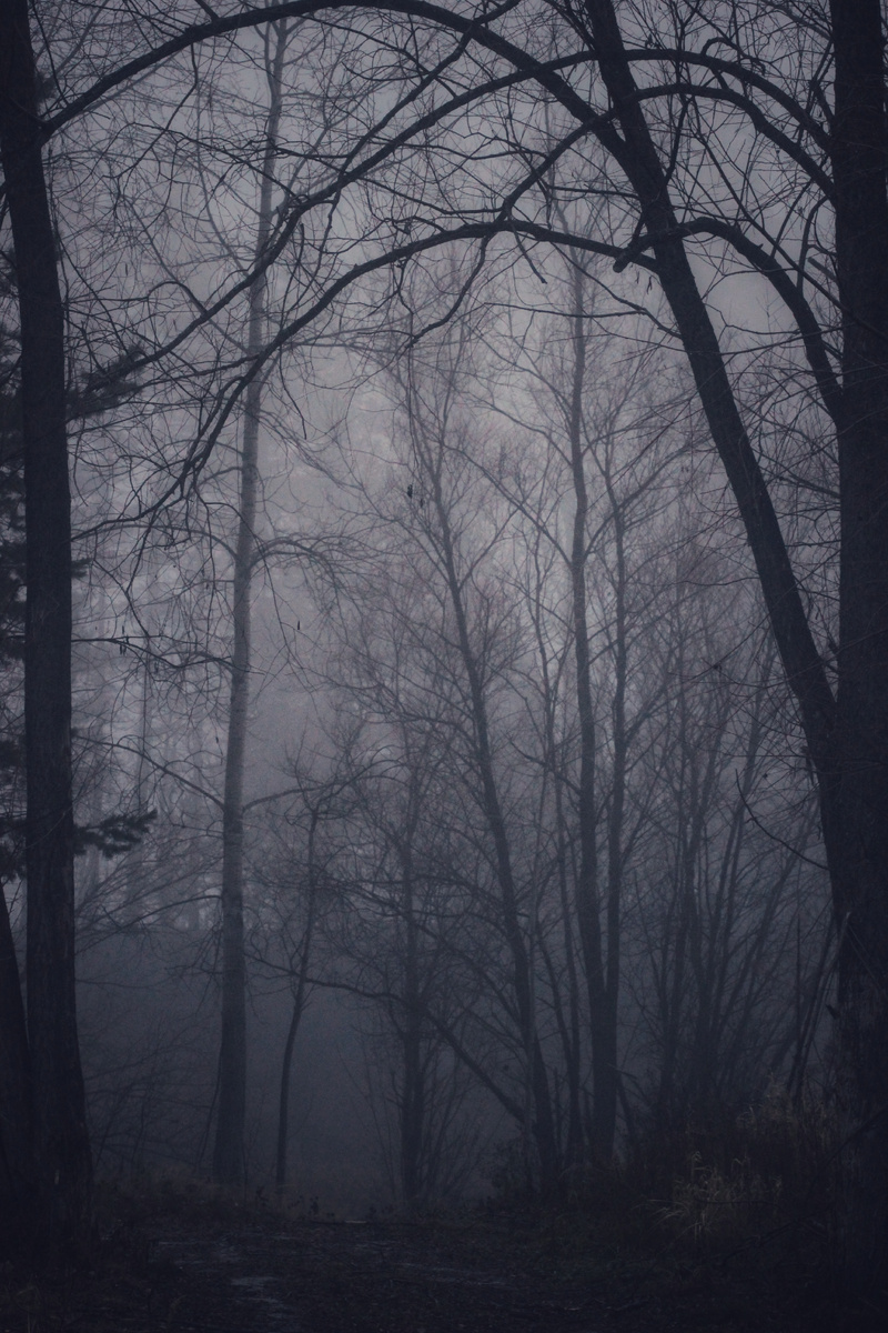 Фото автора канала "Удивительный мир живой природы "