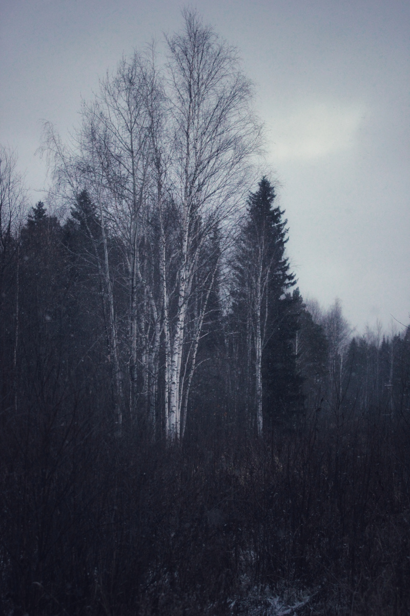 Фото автора канала "Удивительный мир живой природы "