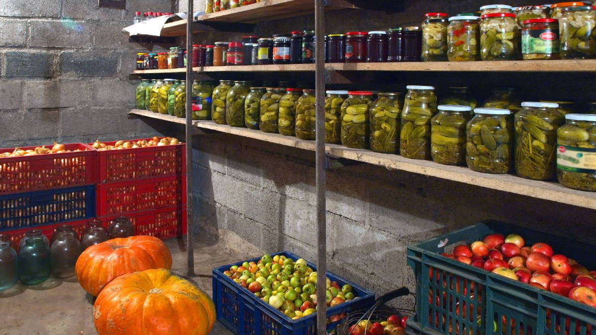 Какие условия нужны для хранения овощей в погребе 