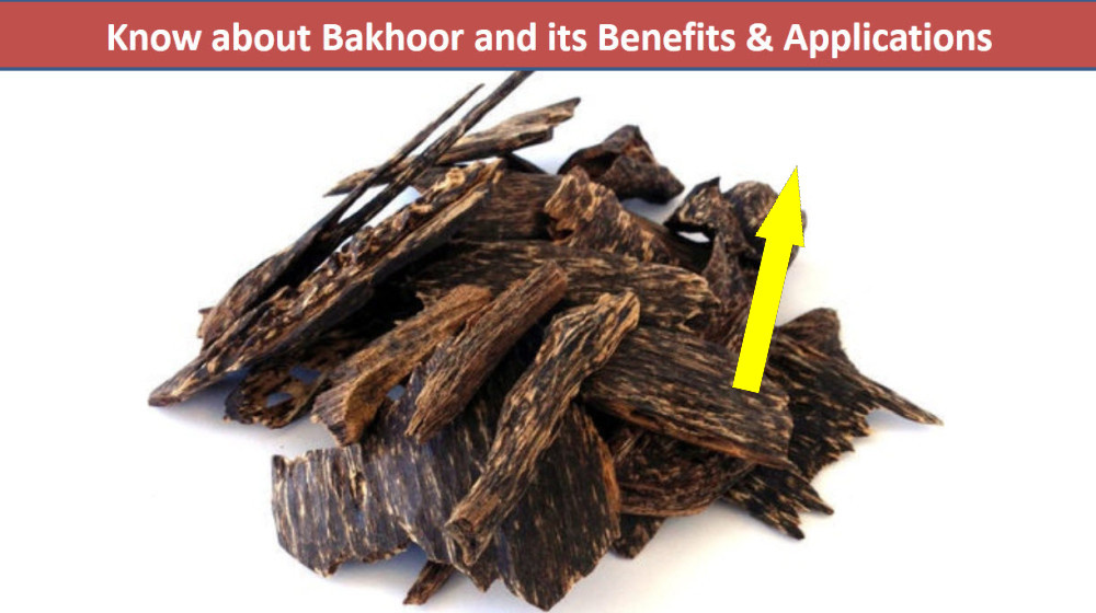    Почему кинам дороже золота и кто готов за него платить миллионы