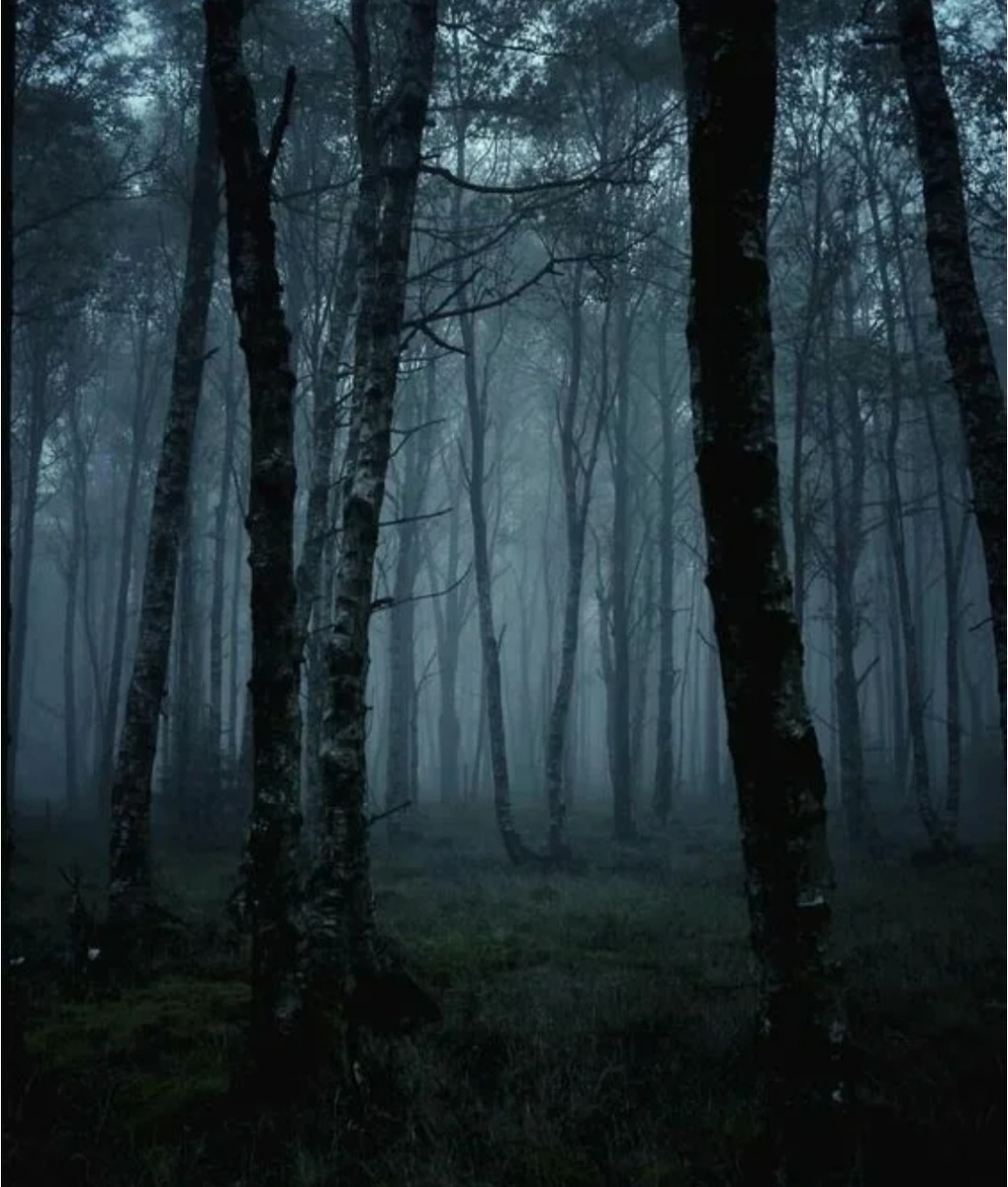 Фото из интернета 