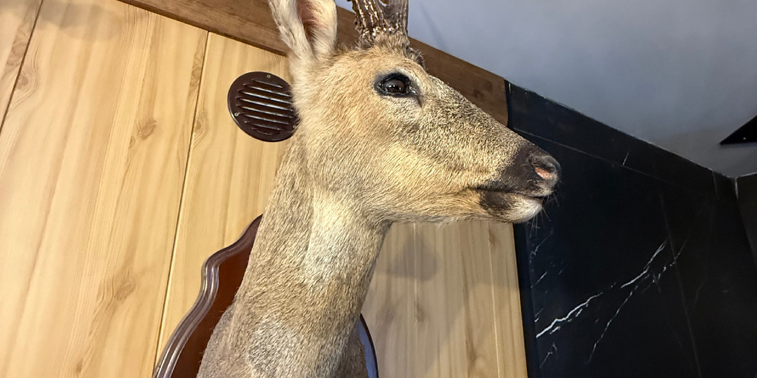 Охота на косулю 2025 г.Ишим