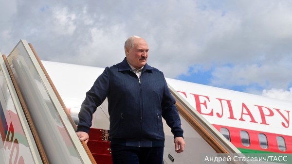     Фото: Андрей Стасевич/ТАСС   
 Текст: Ольга Иванова