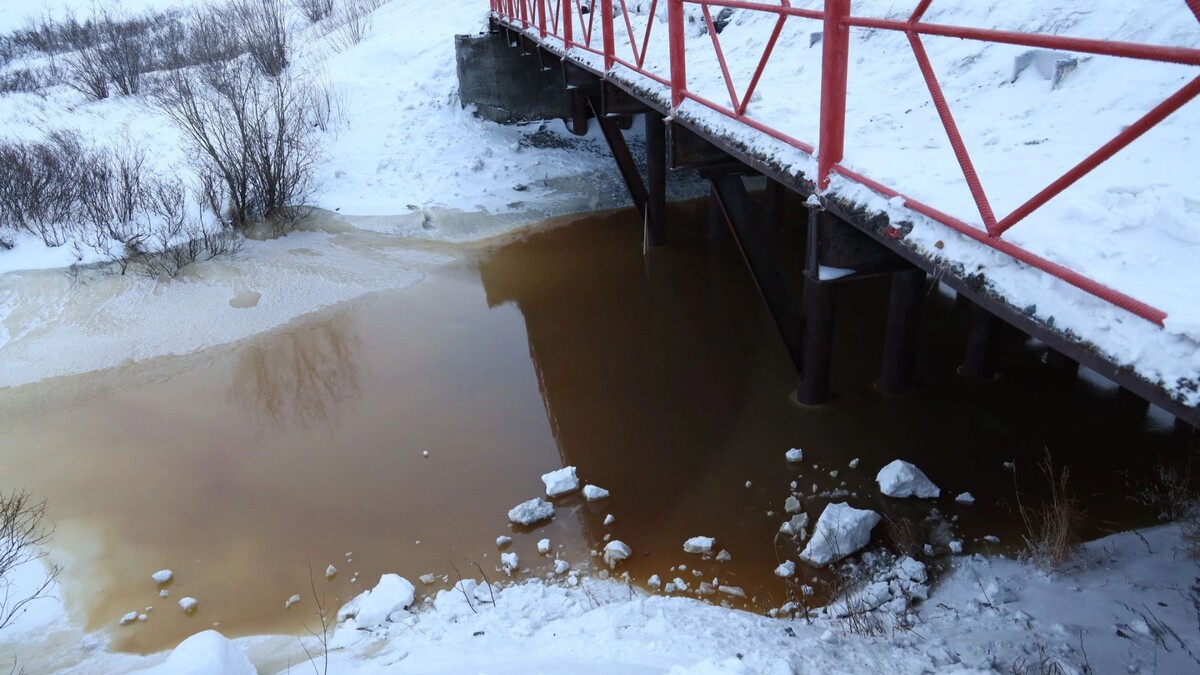    Фото: Василий Петров/«Ямал-Медиа»