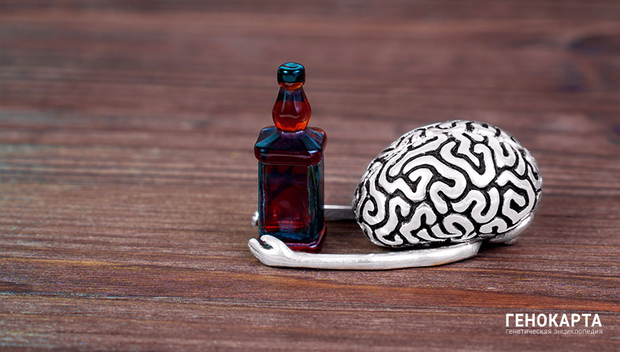 Chizhevskaya Ekaterina // shutterstock.com