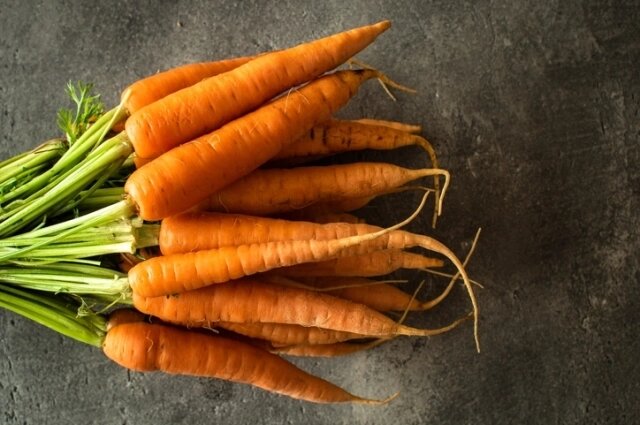    Фото: istockphoto.com/ Victority